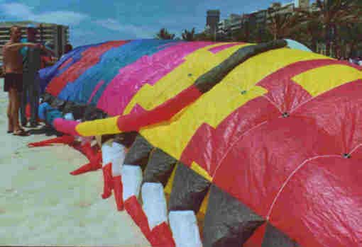 Trilobites